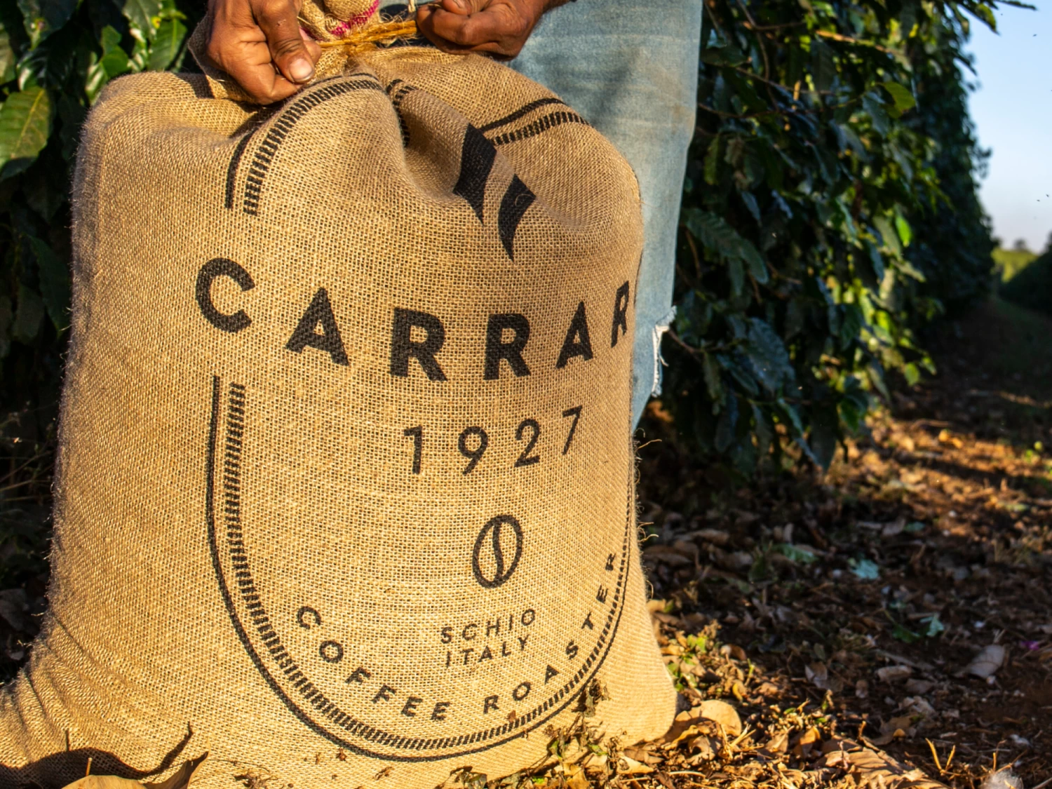 Carraro Dolci Arabica - Image 2