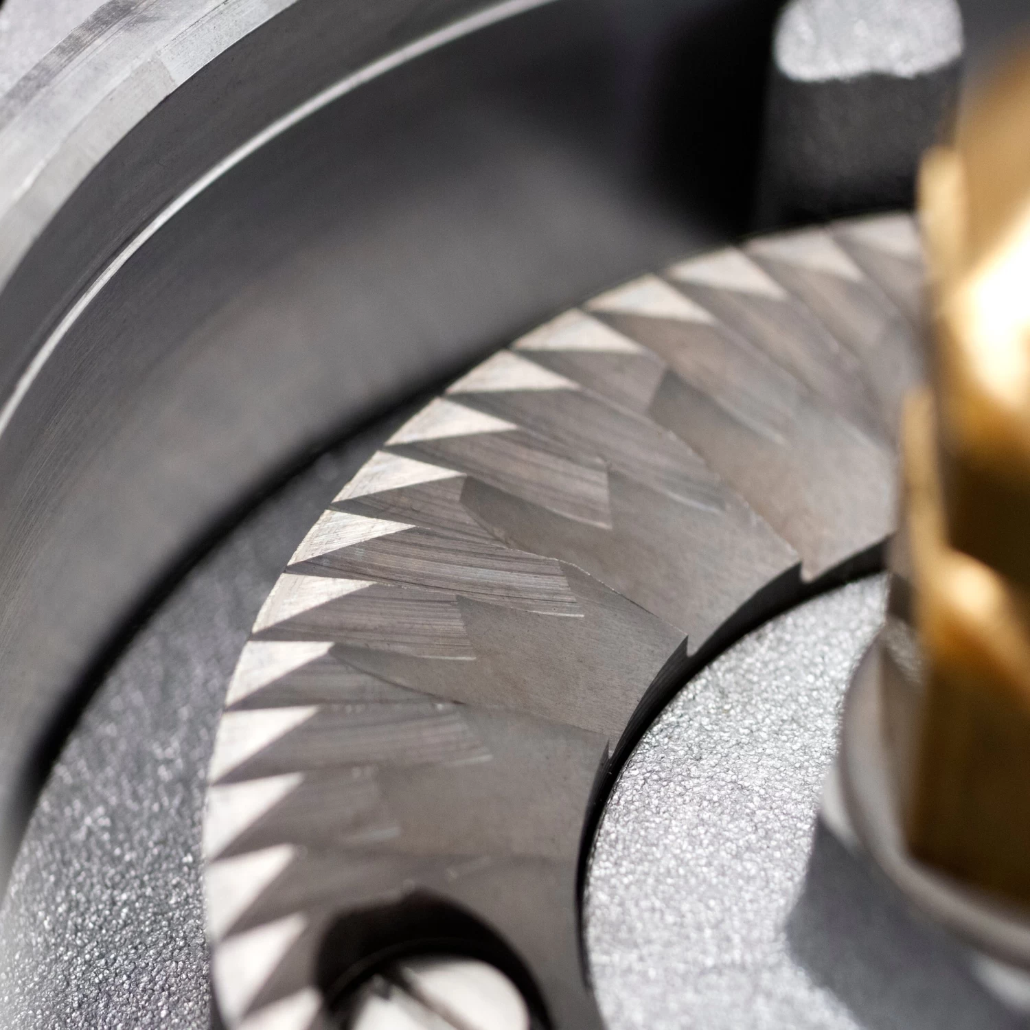 Eureka Atom Specialty 65 In Espresso Grinder Chrome - Image 4