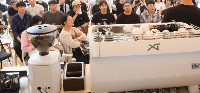 Dalla Corte XT Classic Espresso Machine - 2 Group White Oak - Image 7